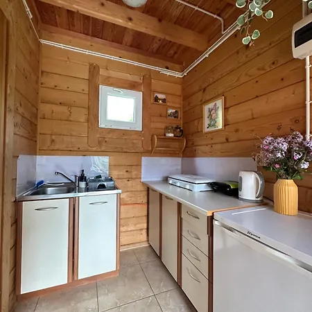Domki Letniskowe Stary Dab Solina  Exterior photo
