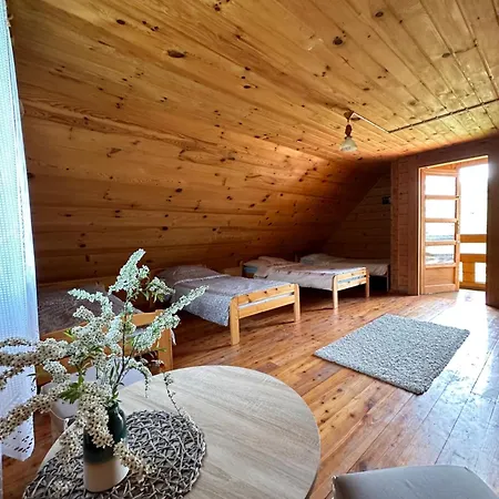 Domki Letniskowe Stary Dab Solina  Exterior photo
