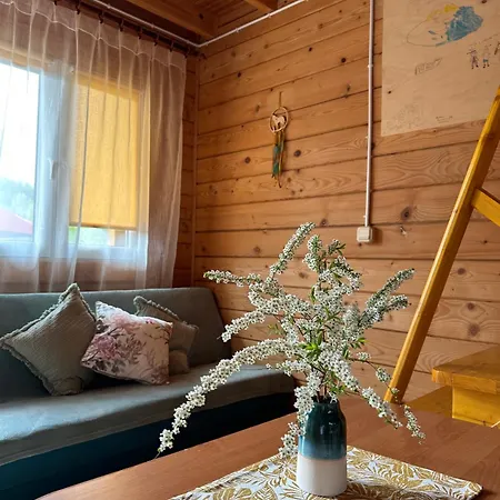 Domki Letniskowe Stary Dab Solina  Exterior photo
